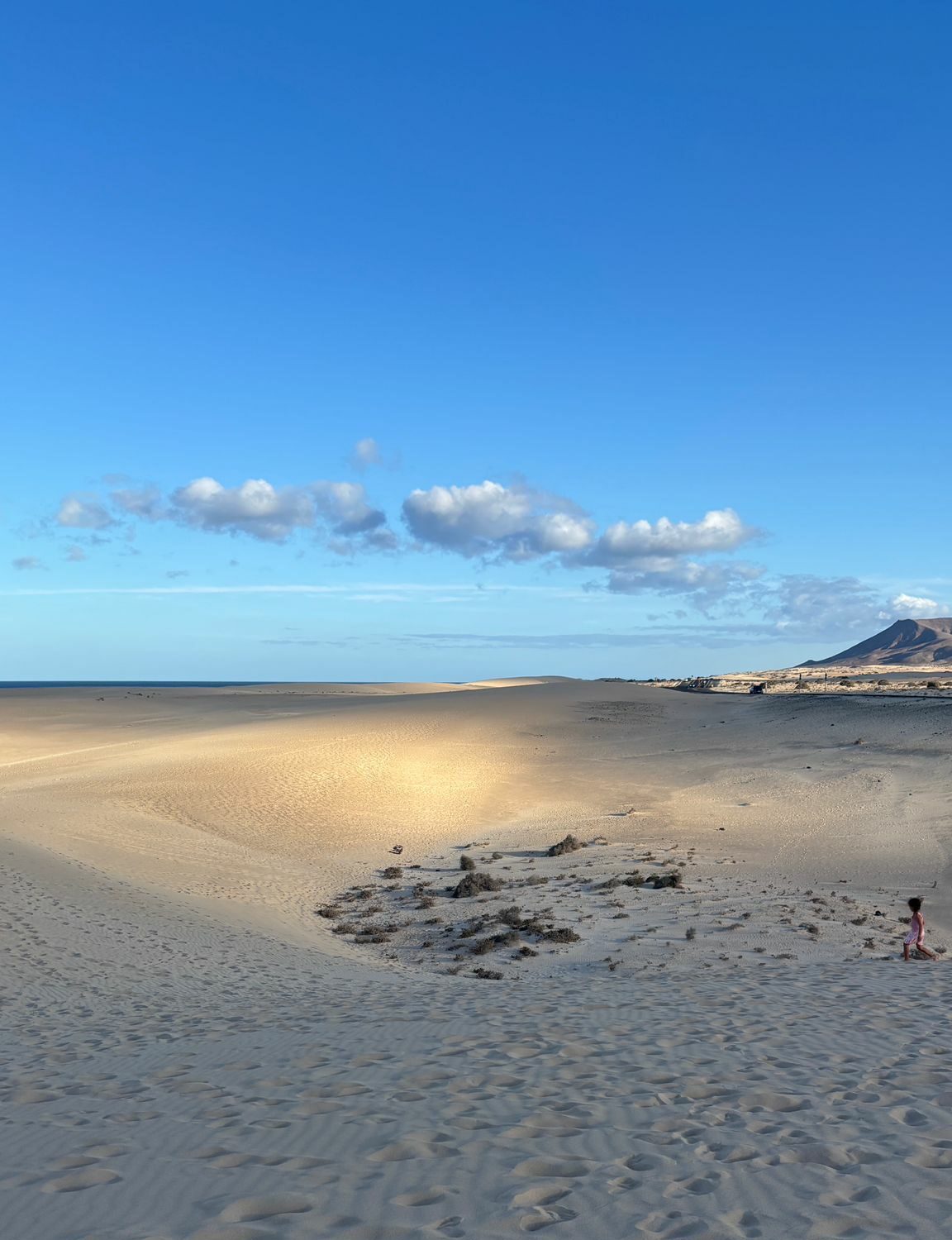 Fuerteventura travel designer viaggi di gruppo dendetravel